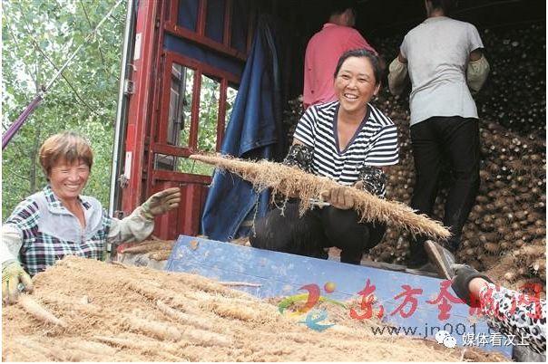 白玉山药最新价格行情更新通知