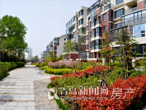 青岛最新住宅房源，梦想之岛的新家选择，准备开启新生活！