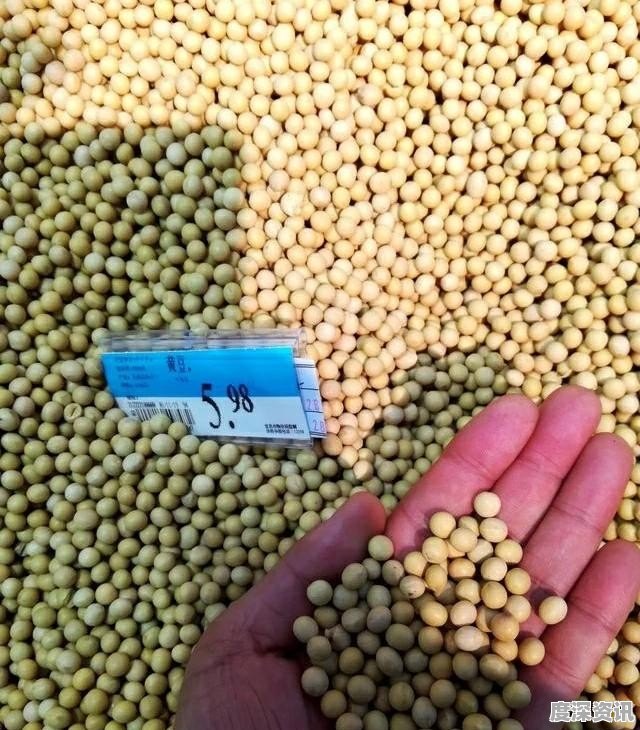 今日最新大豆价格,今日最新大豆价格，变化中的学习，孕育着自信与成就感