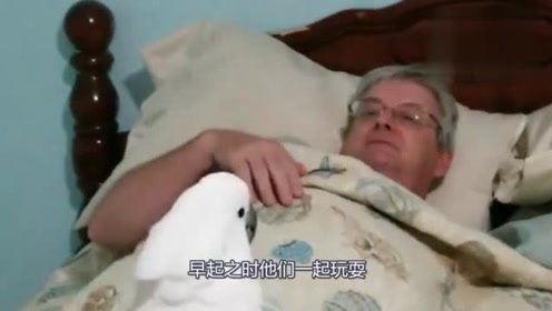 热门H漫与H元素趋势聚焦，最新漫画讨论与趋势分析