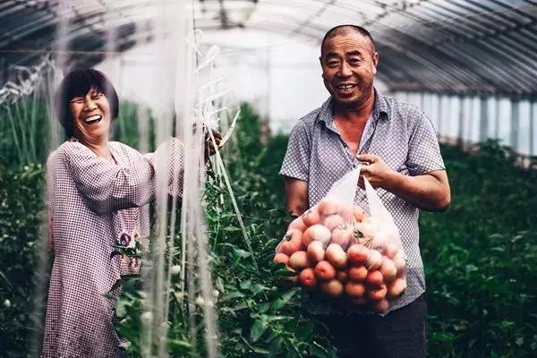 协鑫光伏最新招聘启事，开启光伏人生，共筑阳光梦想！