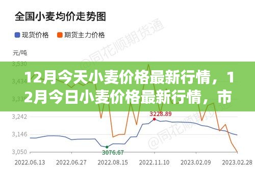 小麦最新行情价格走势分析/动态报告及趋势预测
