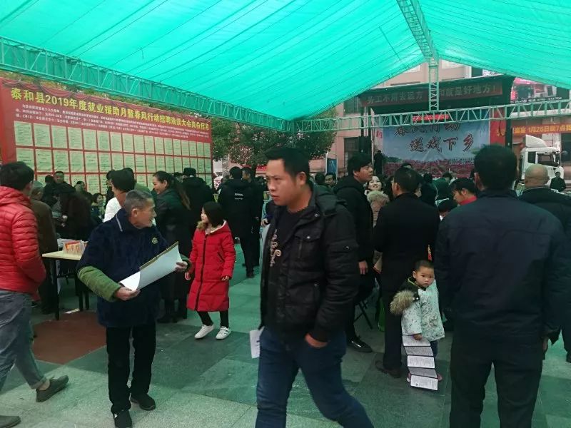 泰和最新招聘信息揭秘，全新岗位等你来挑战！
