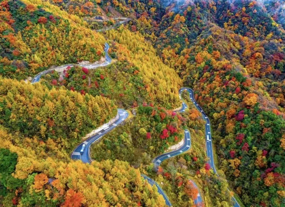 光雾山旅游攻略最新更新，一场爱与陪伴的温馨之旅