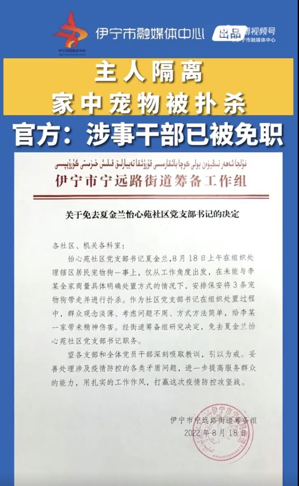 伊宁市最新干部任免动态更新