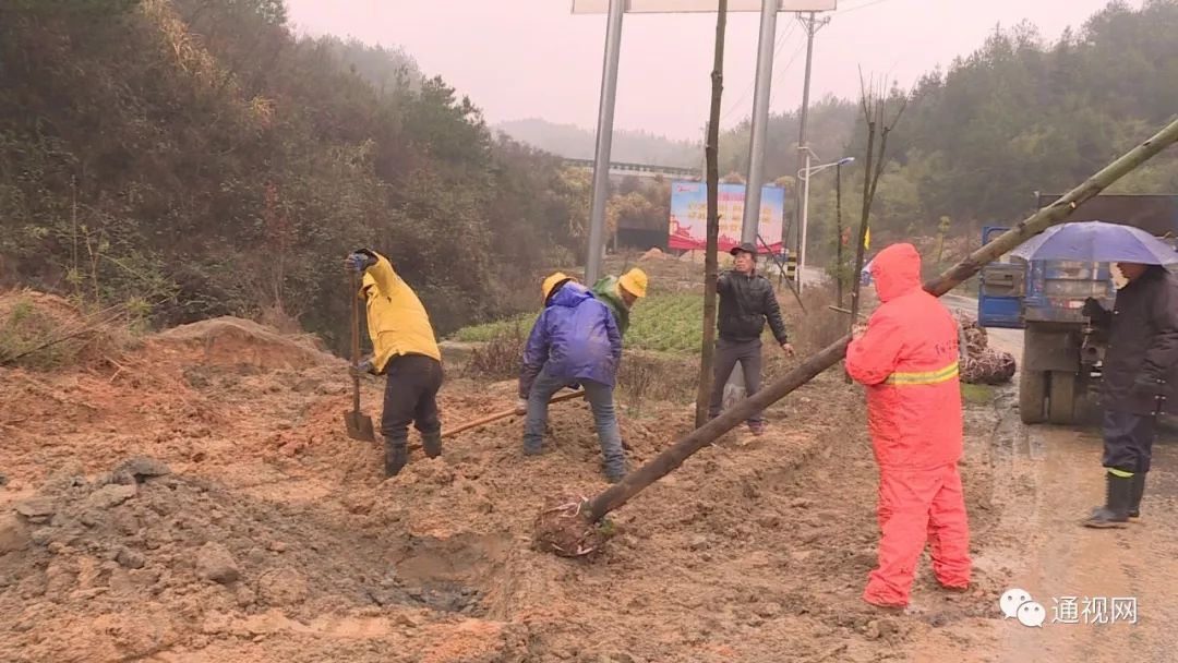 通山包砣网最新新闻，拥抱自然，探寻桃花源之旅